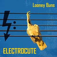 Electrocute